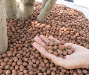 Are Clay Pebbles Good For Plants a good idea? Get the lowdown and learn what other substrate options are available to you.
