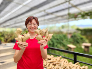 Learn how to grow ginger in a hydroponic garden and get tips on the best way to care for your ginger plants.