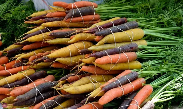 Can you grow carrots in water, without soil? Even though it's root - it is possible! We'll show you how to do it with this easy guide!
