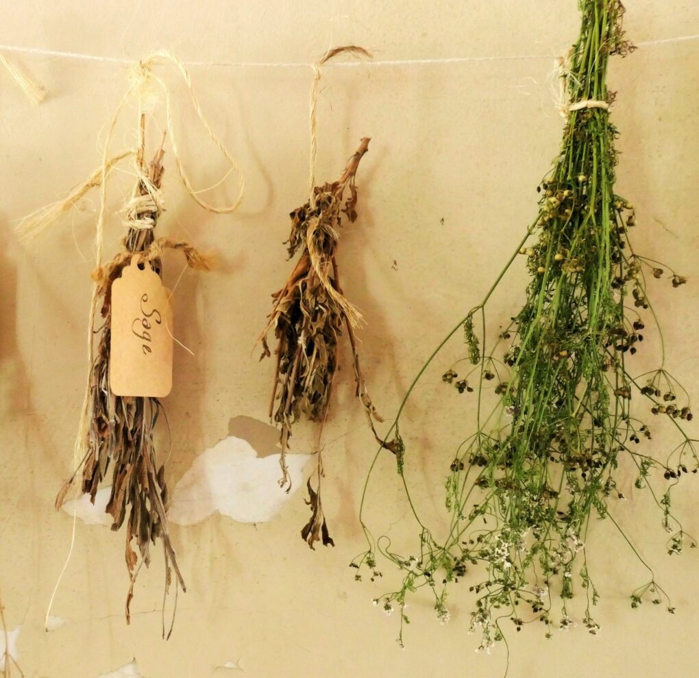 herbs for tower garden