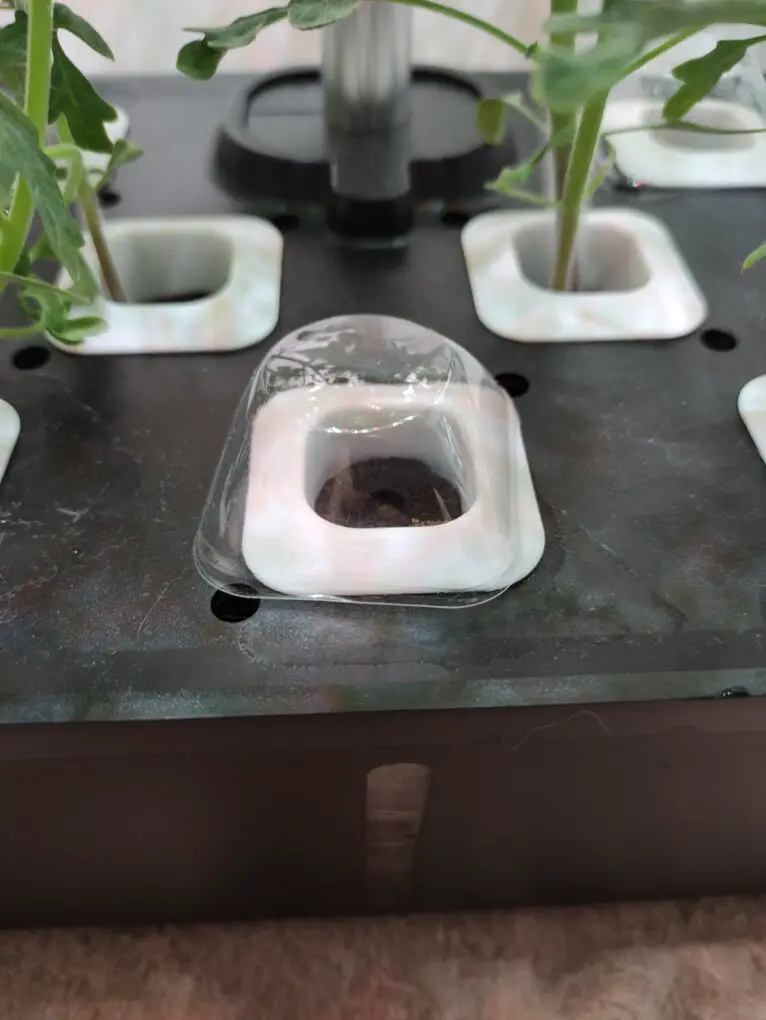 hydroponic grow domes