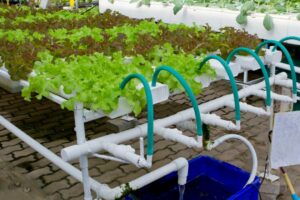 What Size Water Pump Do I Need For Hydroponics